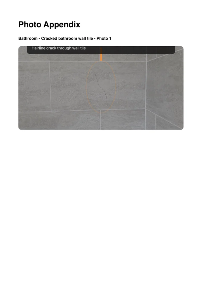 SnagBoard PDF photo evidence page showing issue photos and annotations.